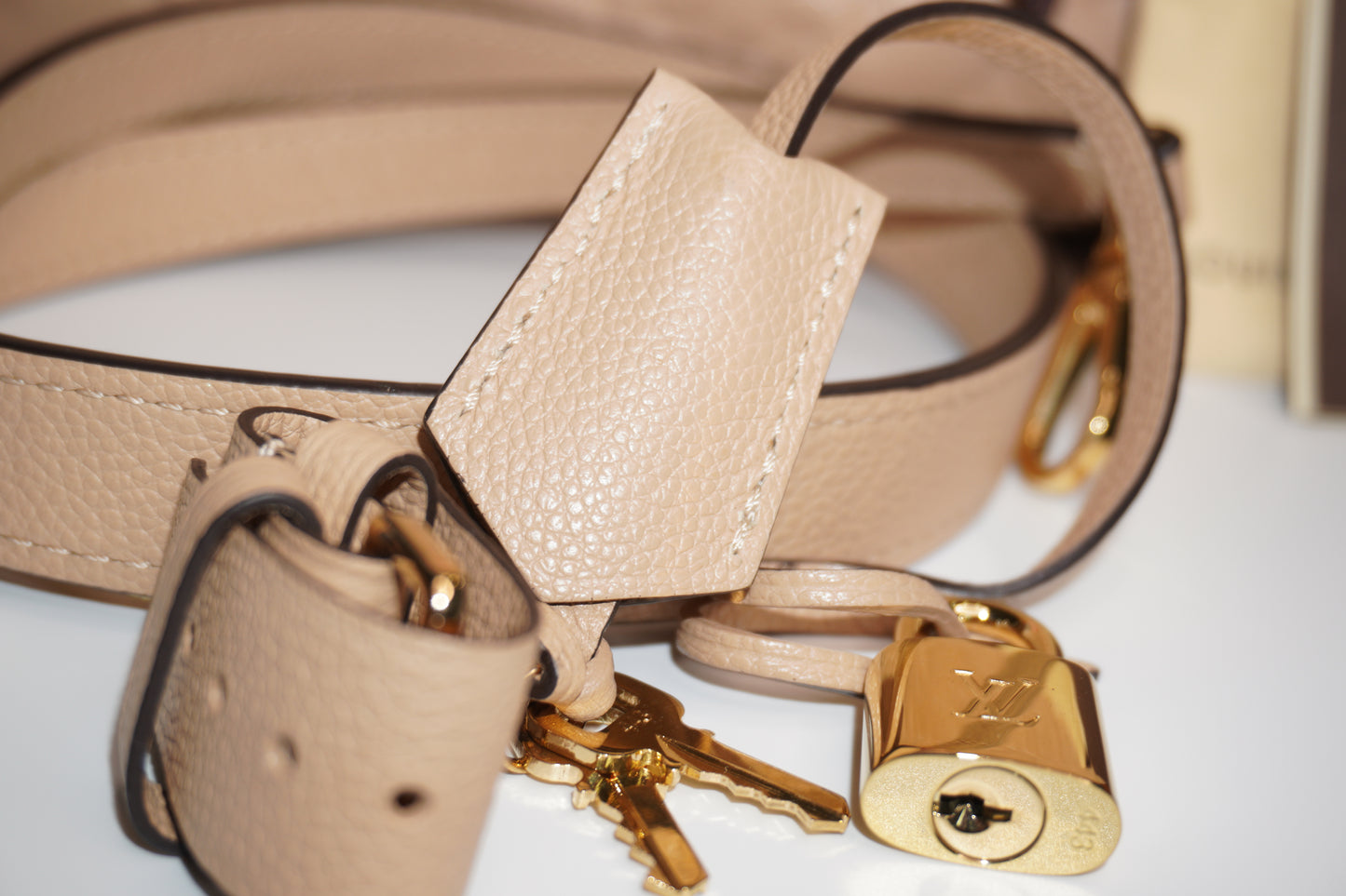 Louis Vuitton Montaigne MM in Dune Monogram Empreinte Leather