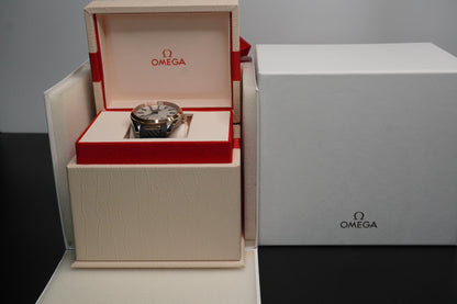 Omega Seamaster Aqua Terra Co-Axial Master Chronometer Watch