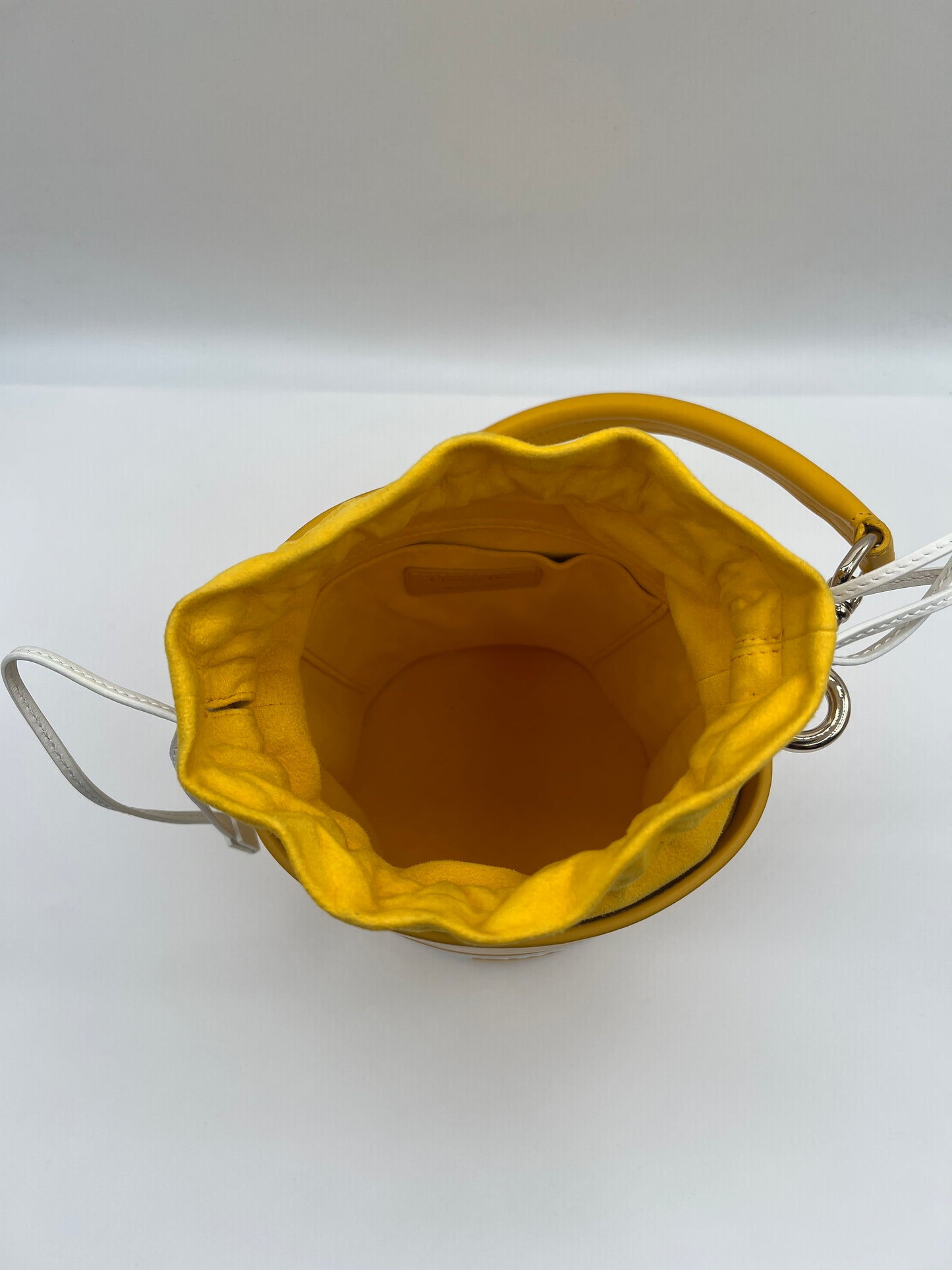 Christian Dior 24 Bucket Bag