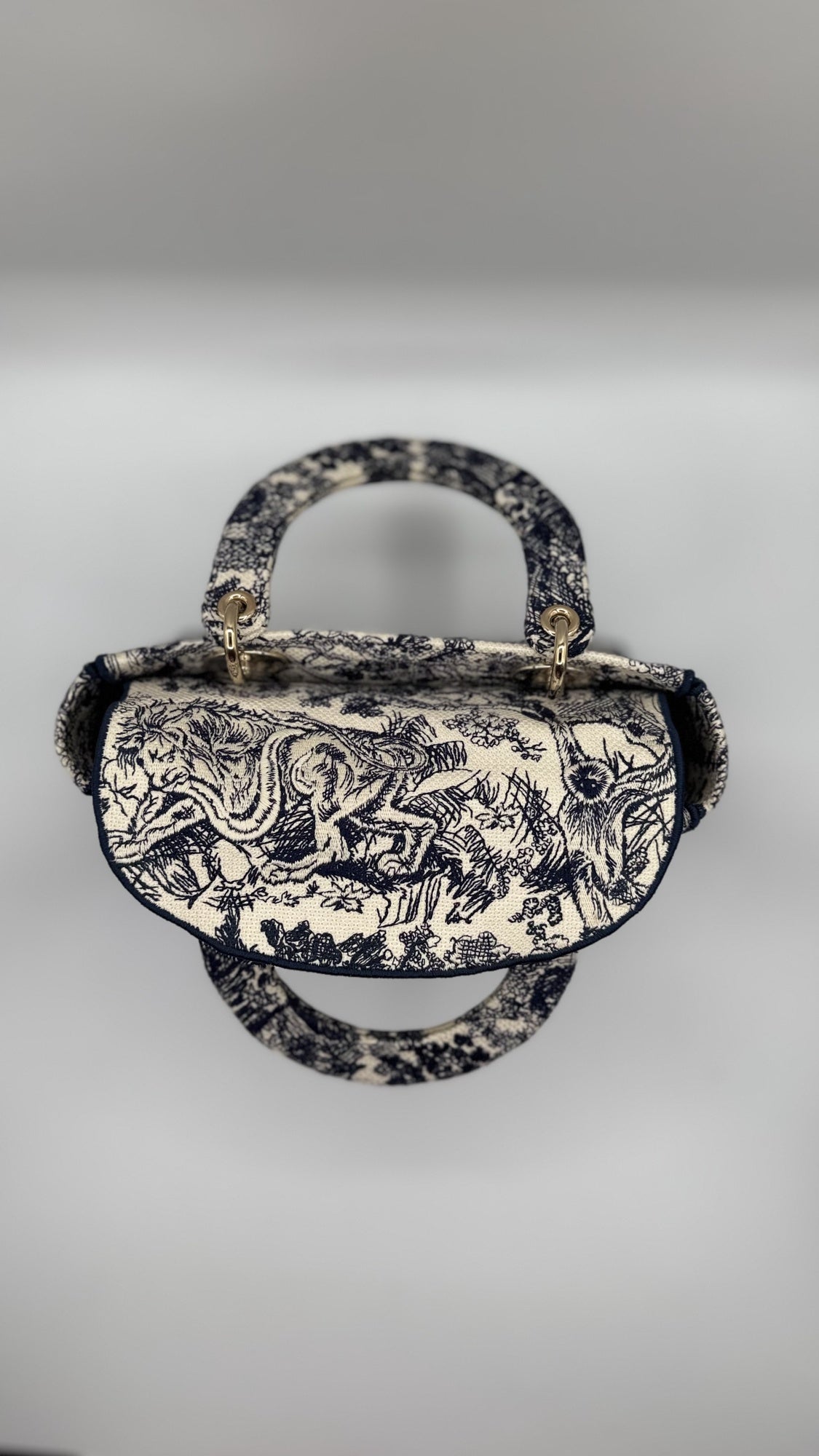 Christian Dior Lady D-Lite Bag – Toile de Jouy Embroidery