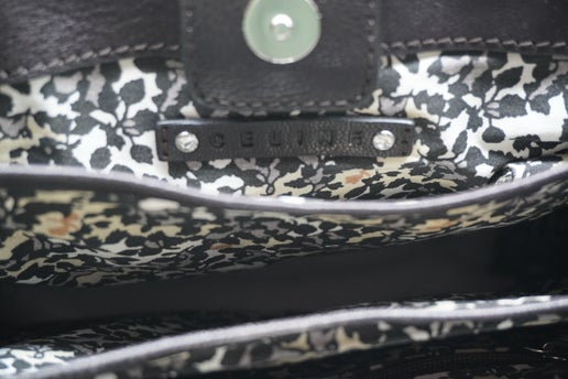 Céline Triomphe Canvas and Leather Shoulder Bag