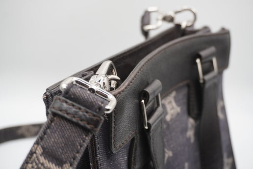 Céline Triomphe Canvas and Leather Shoulder Bag